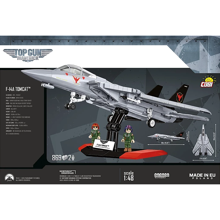 Grumman F-14 Tomcat™