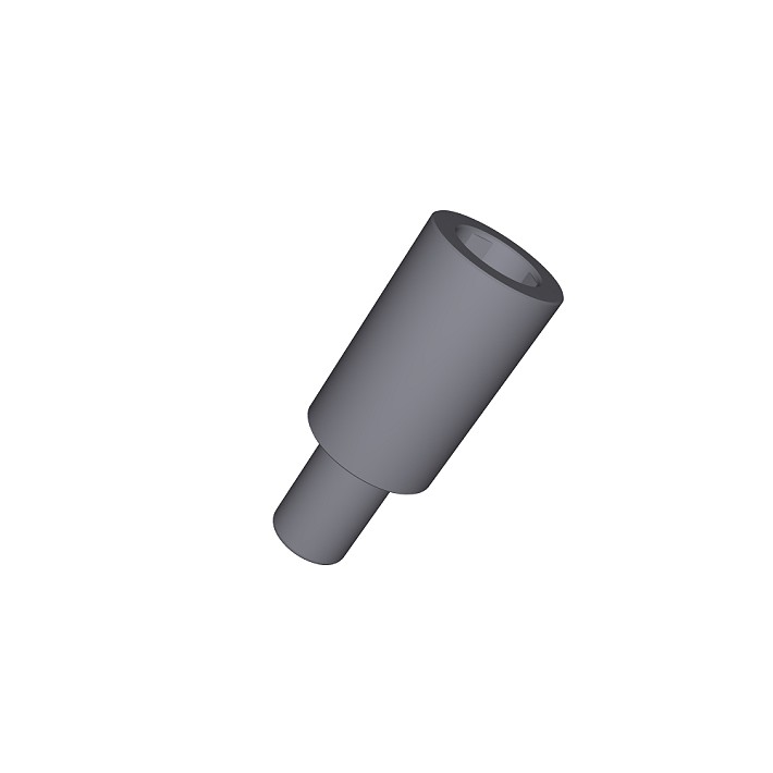 Palma Czop Korony. ótki