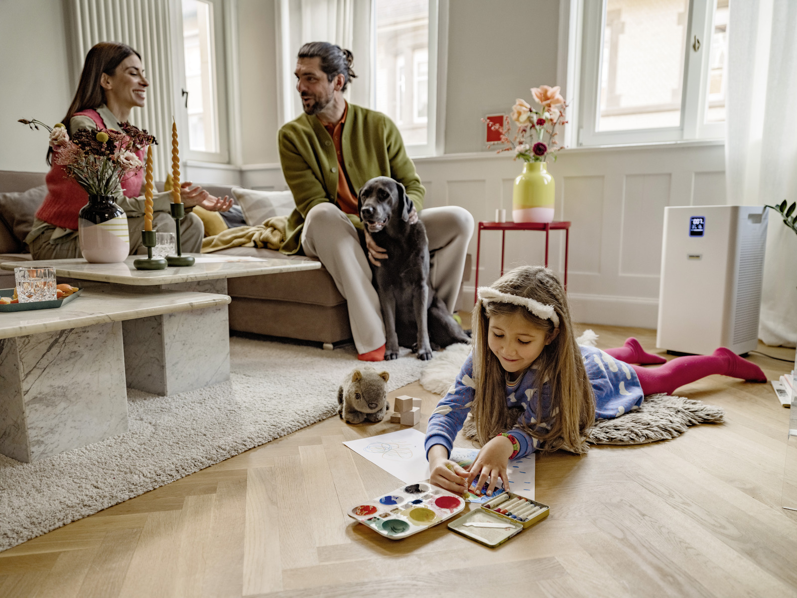 Air purifier           AF 50