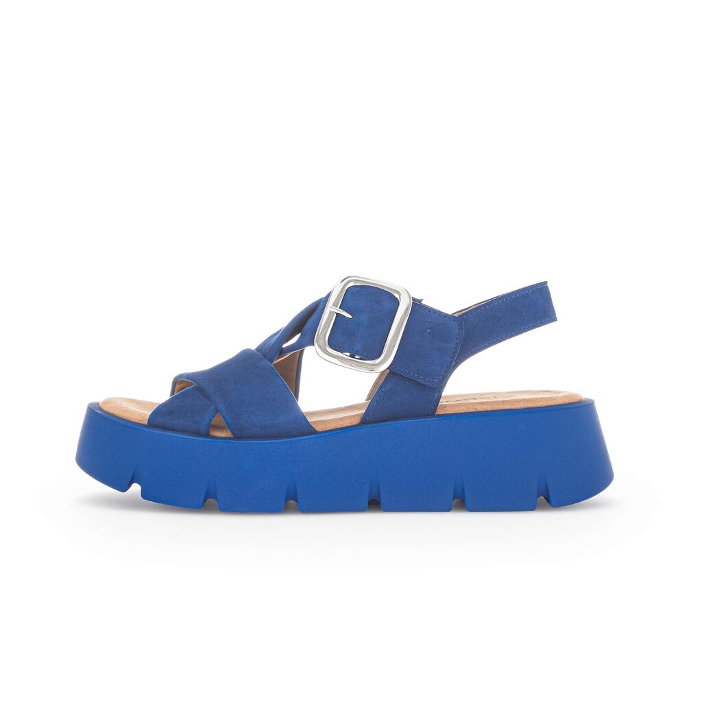 Sandale met plateauzool blauw