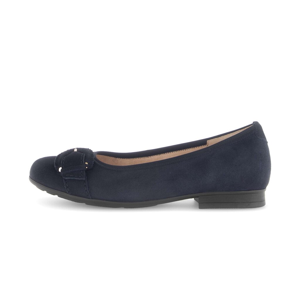 Elegante ballerina blauw