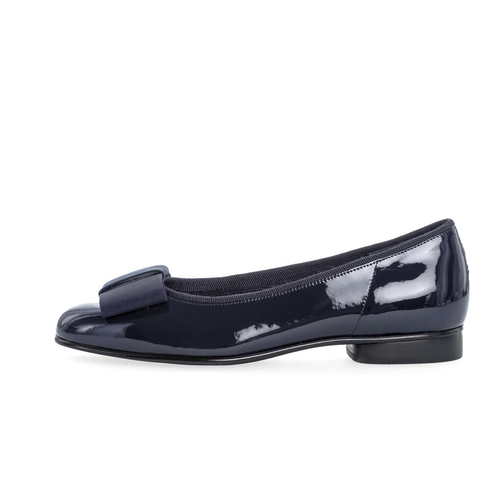 Elegante ballerina blauw