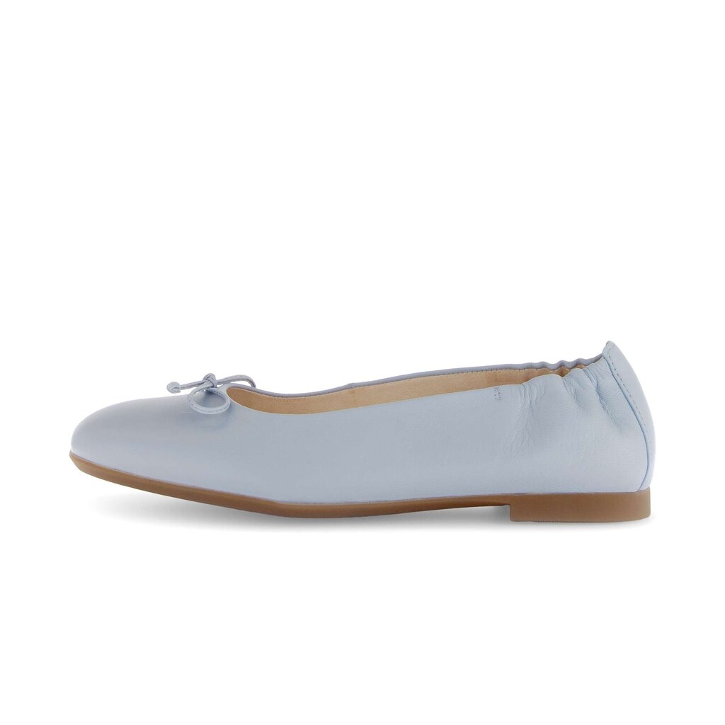 Elegante ballerina blauw