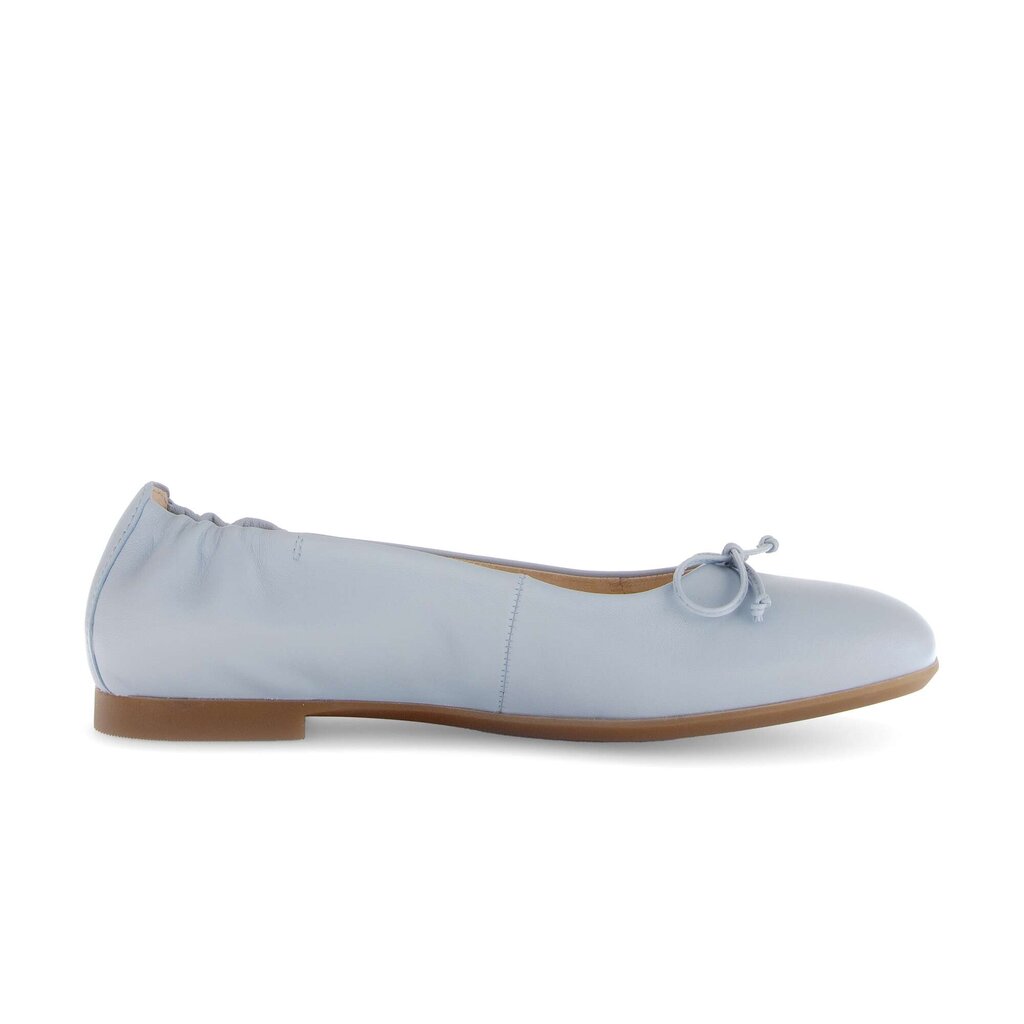 Elegante ballerina blauw