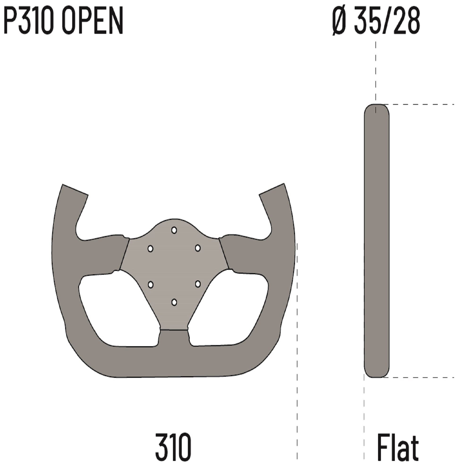 P310 OPEN