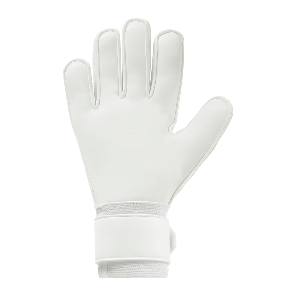 FM Cybertec Soft Pro