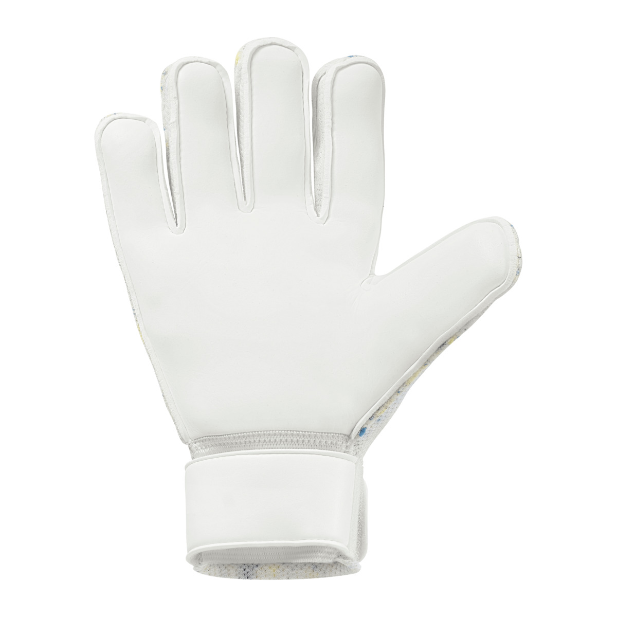 FM Cybertec Starter Soft