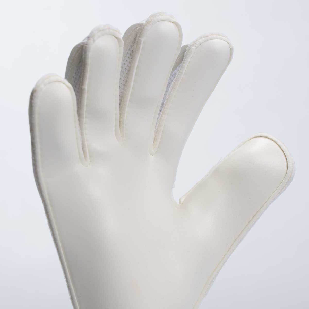 FM Cybertec Starter Soft