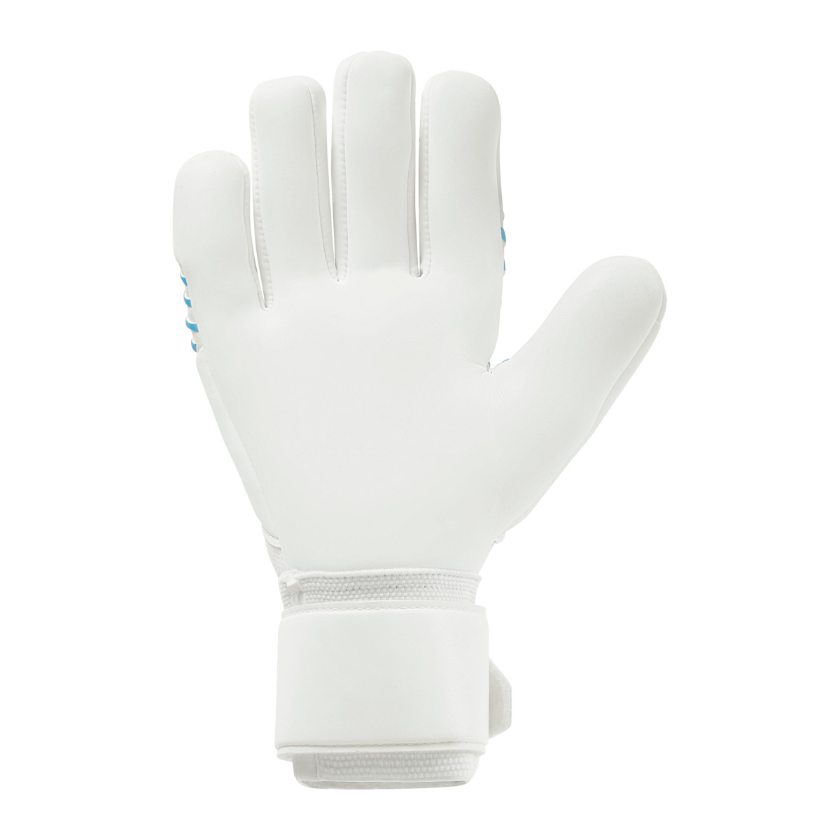 FM Cybertec Supersoft HN