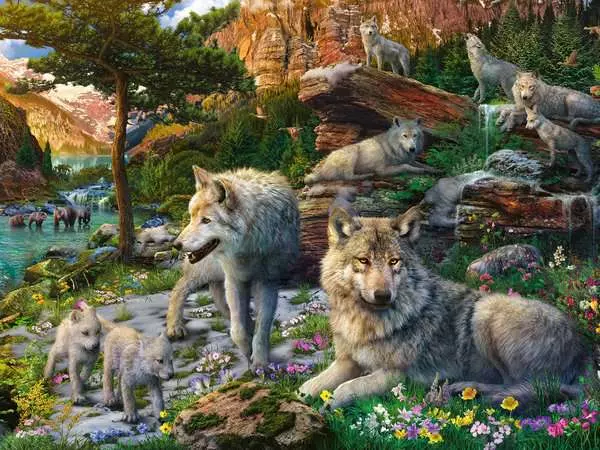 Puzzle 1500 Teile - Wolfsrudel im Frühlingserwachen