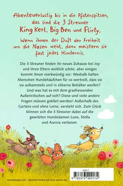 3 Streuner wittern das Abenteuer