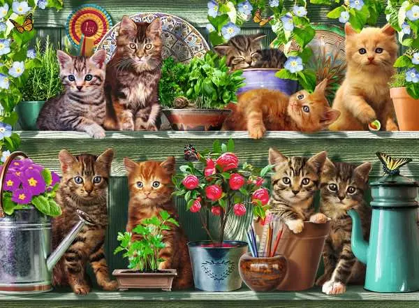 Puzzle 500 Teile - Katzen im Regal