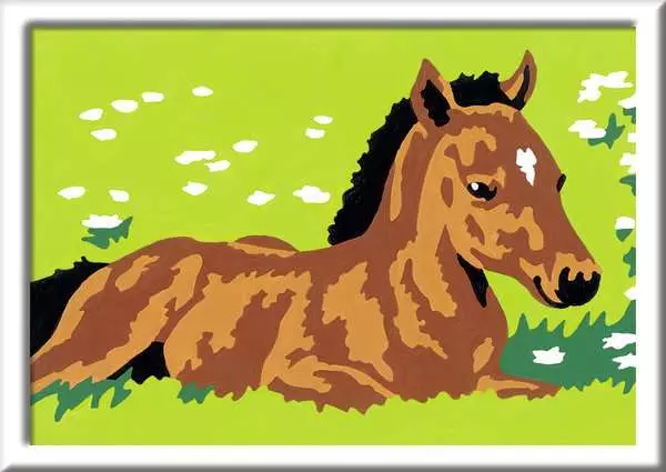 CreArt Kleines Fohlen - Malen nach Zahlen für Kinder ab 7 Jahren