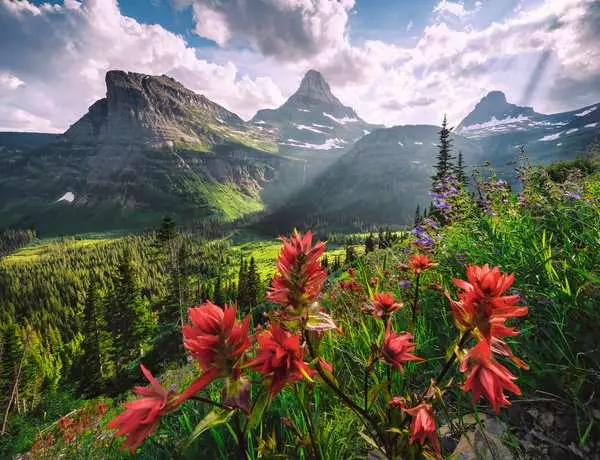 Puzzle 2000 Teile - Unberührte Berge