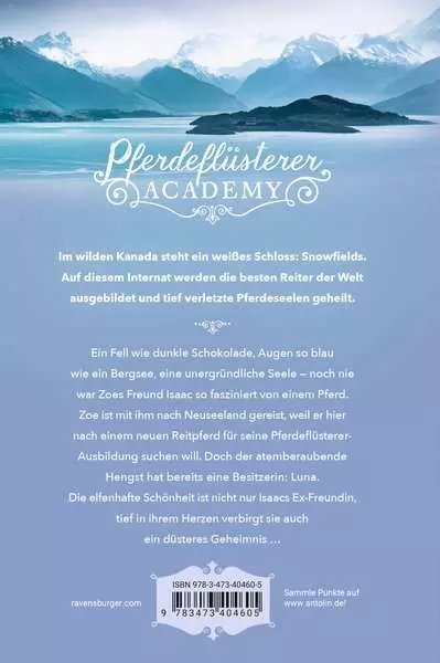 Pferdeflüsterer-Academy. Band 11 - Verborgene Gefühle