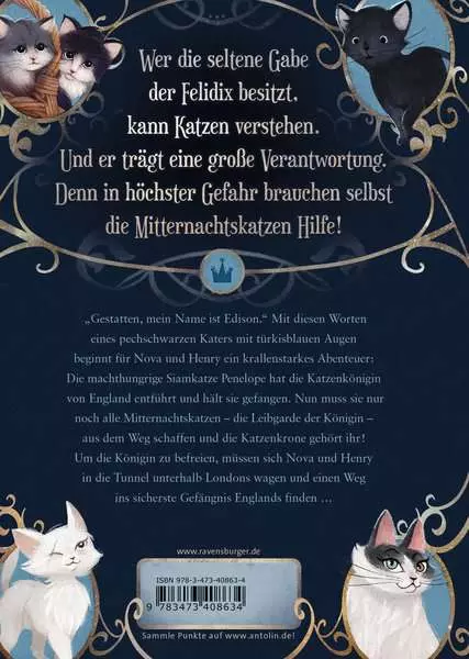 Mitternachtskatzen. Band 1 - Die Schule der Felidix