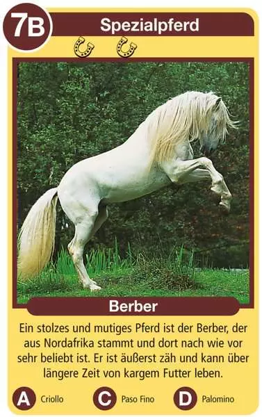 Tierquartett Pferde - Kartenspiel ab 4 Jahren