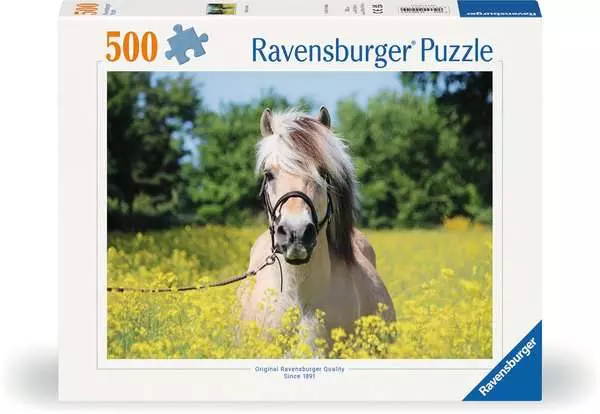 Puzzle 500 Teile - Pferd im Rapsfeld