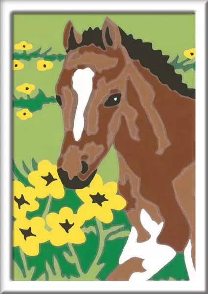 CreArt Fohlen - Malen nach Zahlen für Kinder ab 7 Jahren