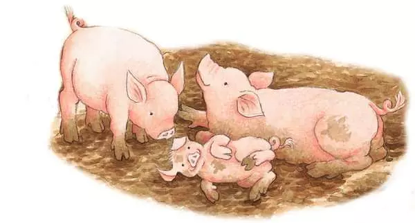 Kinderpuzzle ab 4 Jahren - Auf dem großen Bauernhof - 40 Teile