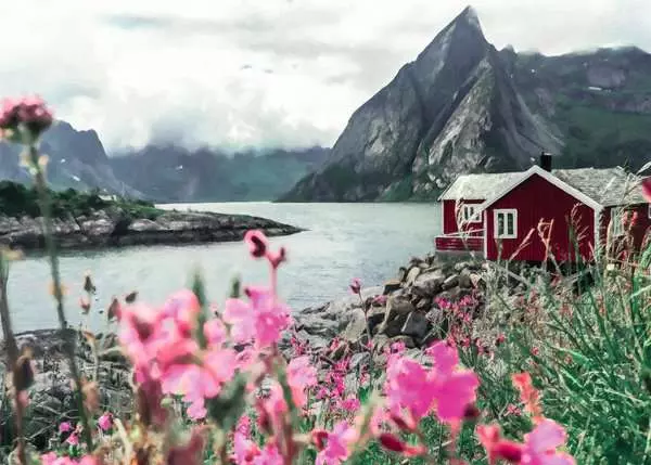 Puzzle 1000 Teile - Reine Lofoten. Norwegen