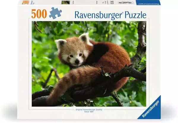 Puzzle 500 Teile - Süßer roter Panda