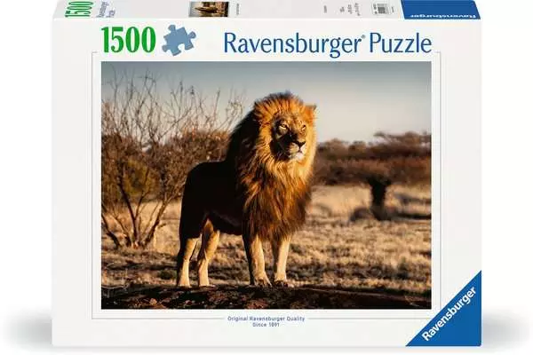 Puzzle 1500 Teile - Der Löwe. Der König der Tiere