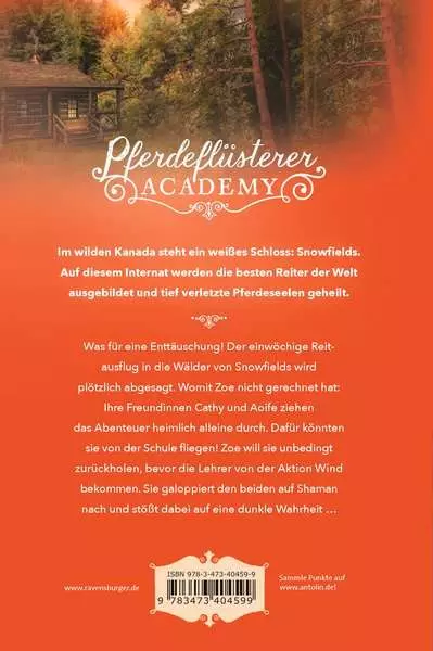 Pferdeflüsterer-Academy. Band 10 - Die dunkle Wahrheit