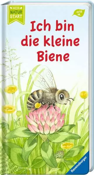 Ich bin die kleine Biene