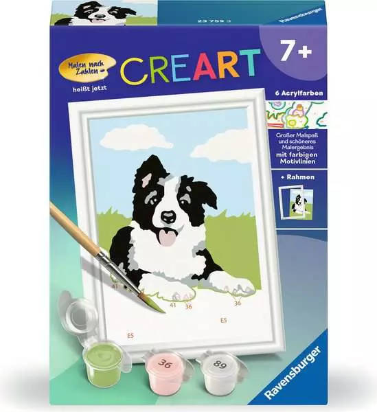CreArt Border Collie Welpe - Malen nach Zahlen für Kinder ab 7 Jahren