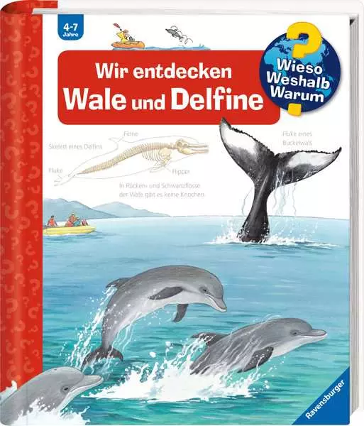 Ravensburger Wieso? Weshalb? Warum?. Band 41 - Wir entdecken Wale und Delfine