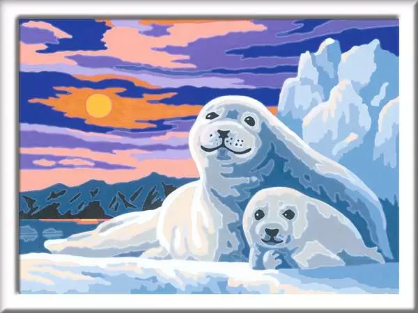 CreArt Niedliche Robben - Malen nach Zahlen für Kinder ab 9 Jahren