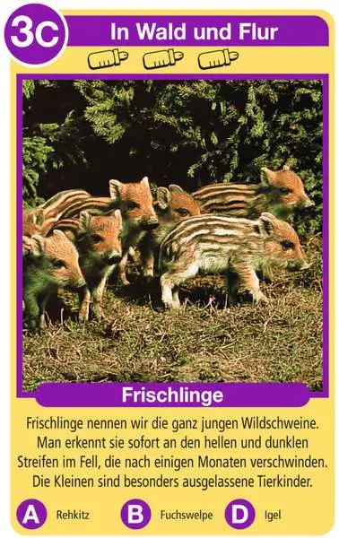 Tierquartett Tierkinder - Kartenspiel ab 4 Jahren