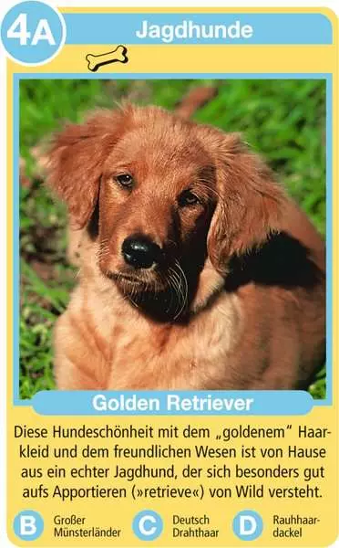 Tierquartett Hunde - Kartenspiel ab 4 Jahren
