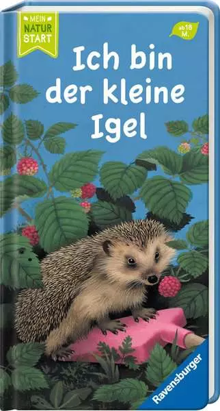 Ich bin der kleine Igel