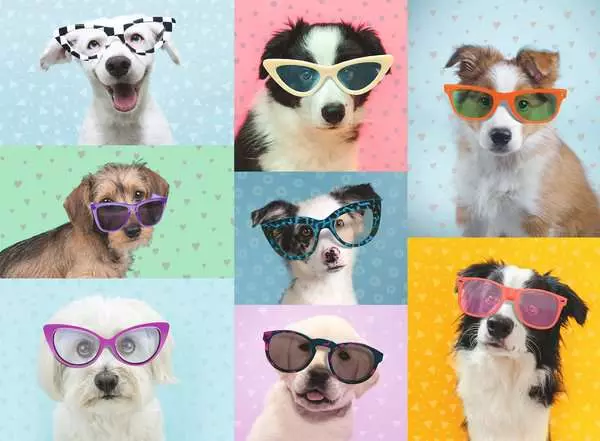 Kinderpuzzle ab 7 Jahren - Witzige Hunde - 150 Teile