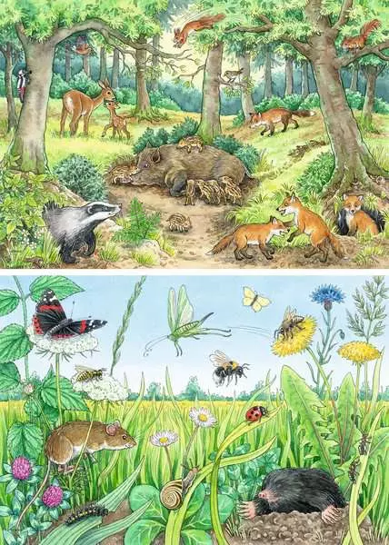 Kinderpuzzle ab 3 Jahren - Kinderpuzzle 2x12 Teile - Wieso? Weshalb? Warum? Tiere im Wald und auf der Wiese - 12 Teile