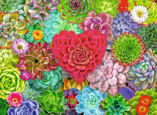 Puzzle 500 Teile - Succulent Love