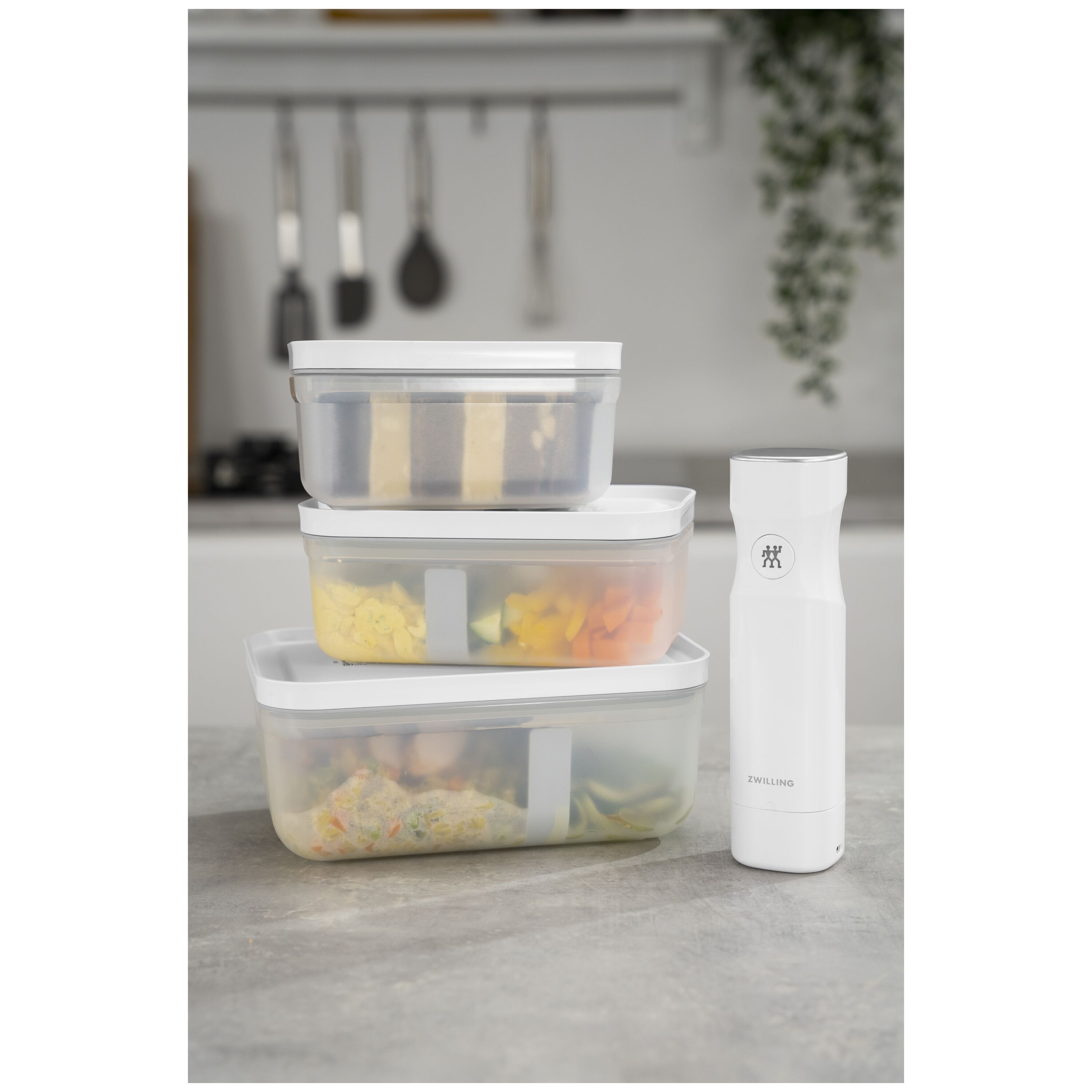 ZWILLING        Fresh & Save                Vakuum Lunchbox L, Kunststoff, Semitransparent-Grau