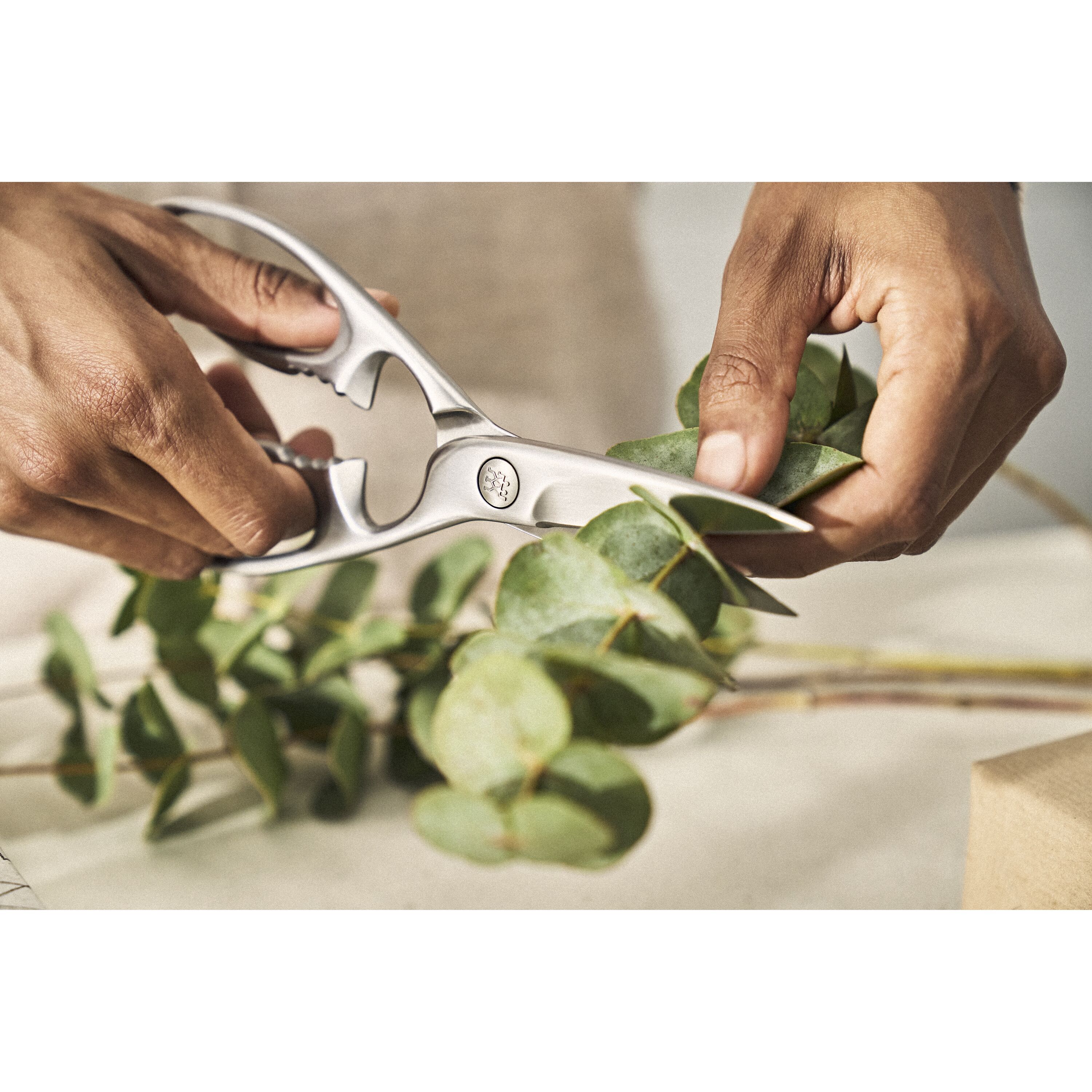 ZWILLING        TWIN Select                Vielzweckschere 20 cm, Edelstahl