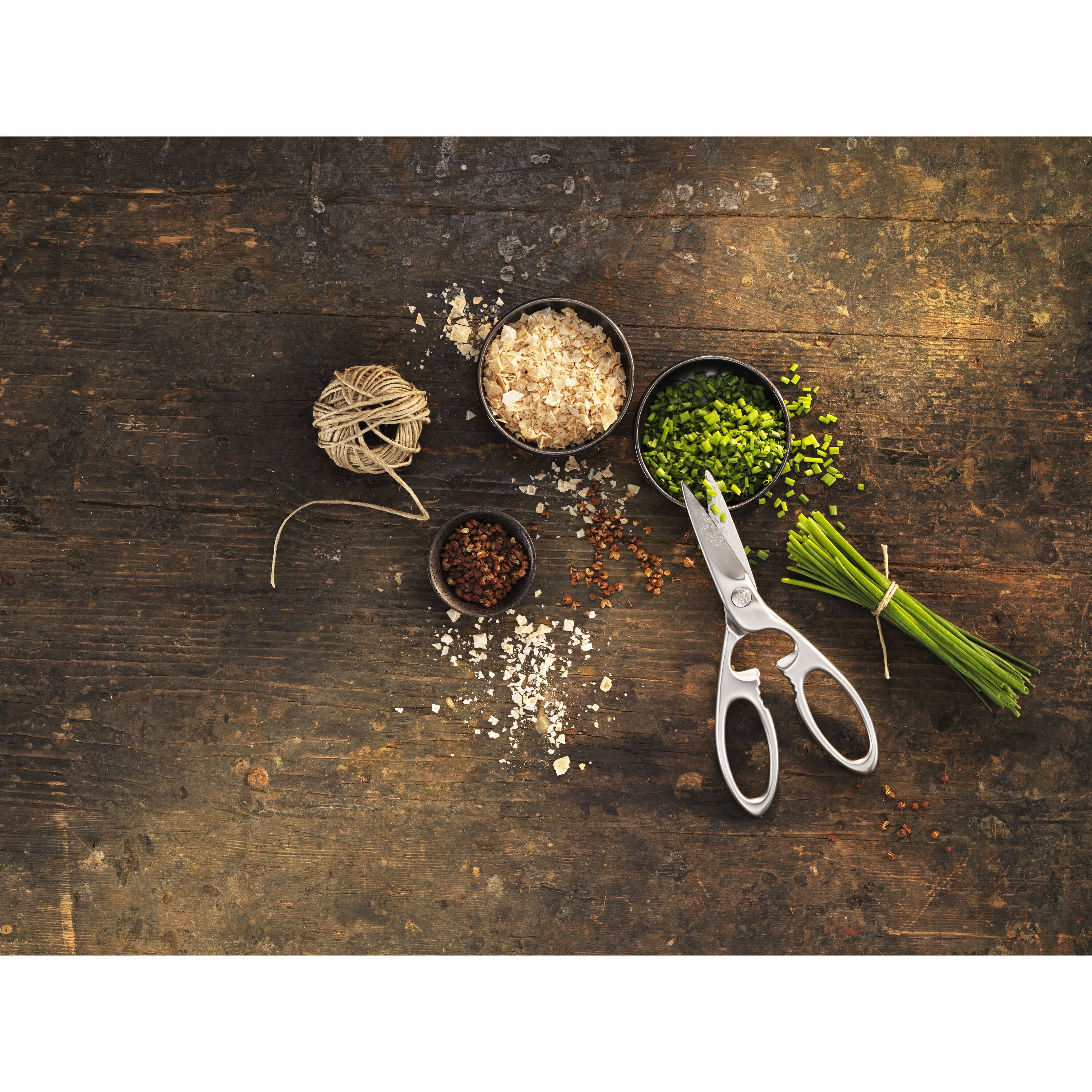 ZWILLING        TWIN Select                Vielzweckschere 20 cm, Edelstahl