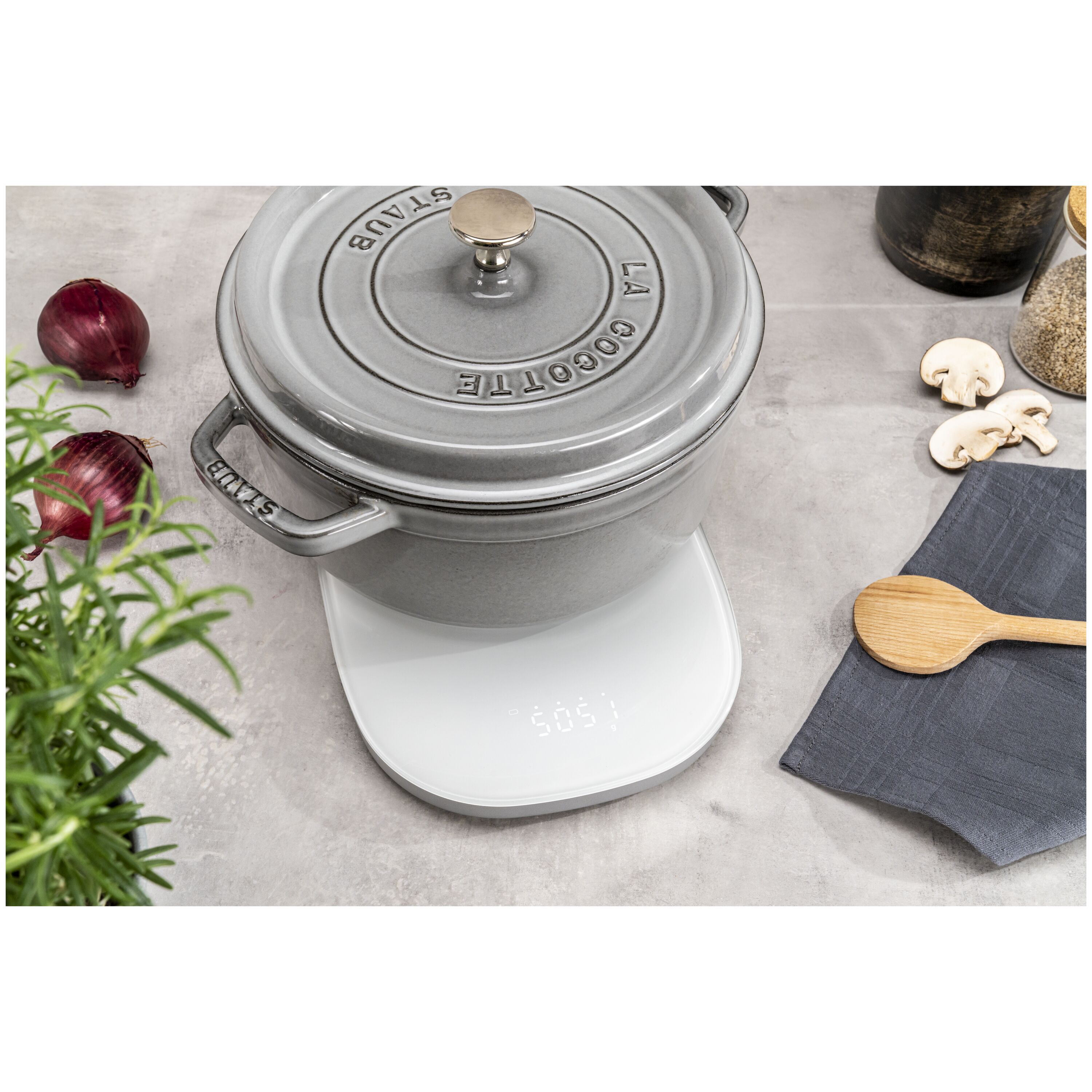 ZWILLING        Enfinigy                Digitale Küchenwaage mit induktiver Ladefunktion, Silber