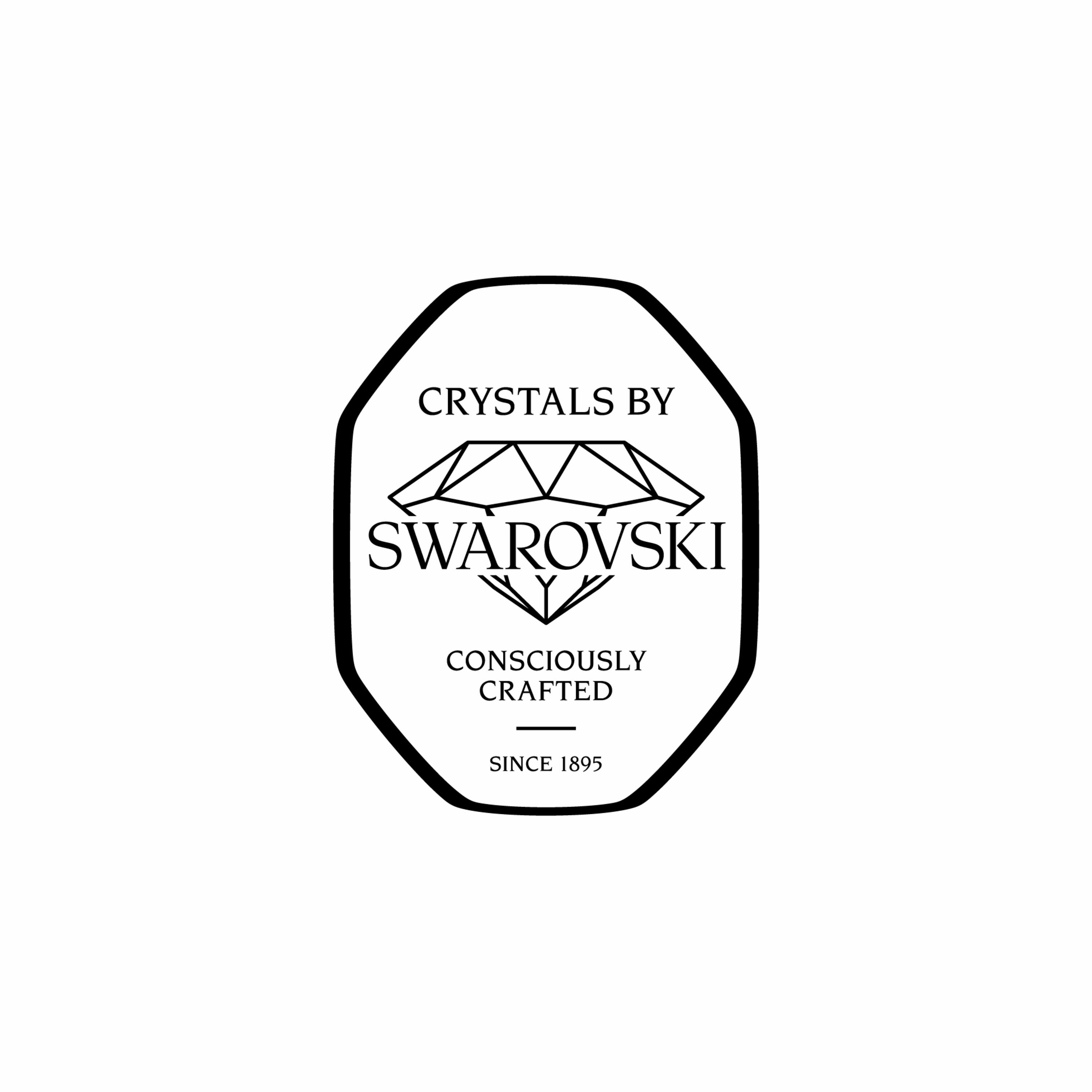 Staub                        Knauf mit Kristall von Swarovski, Edelstahl