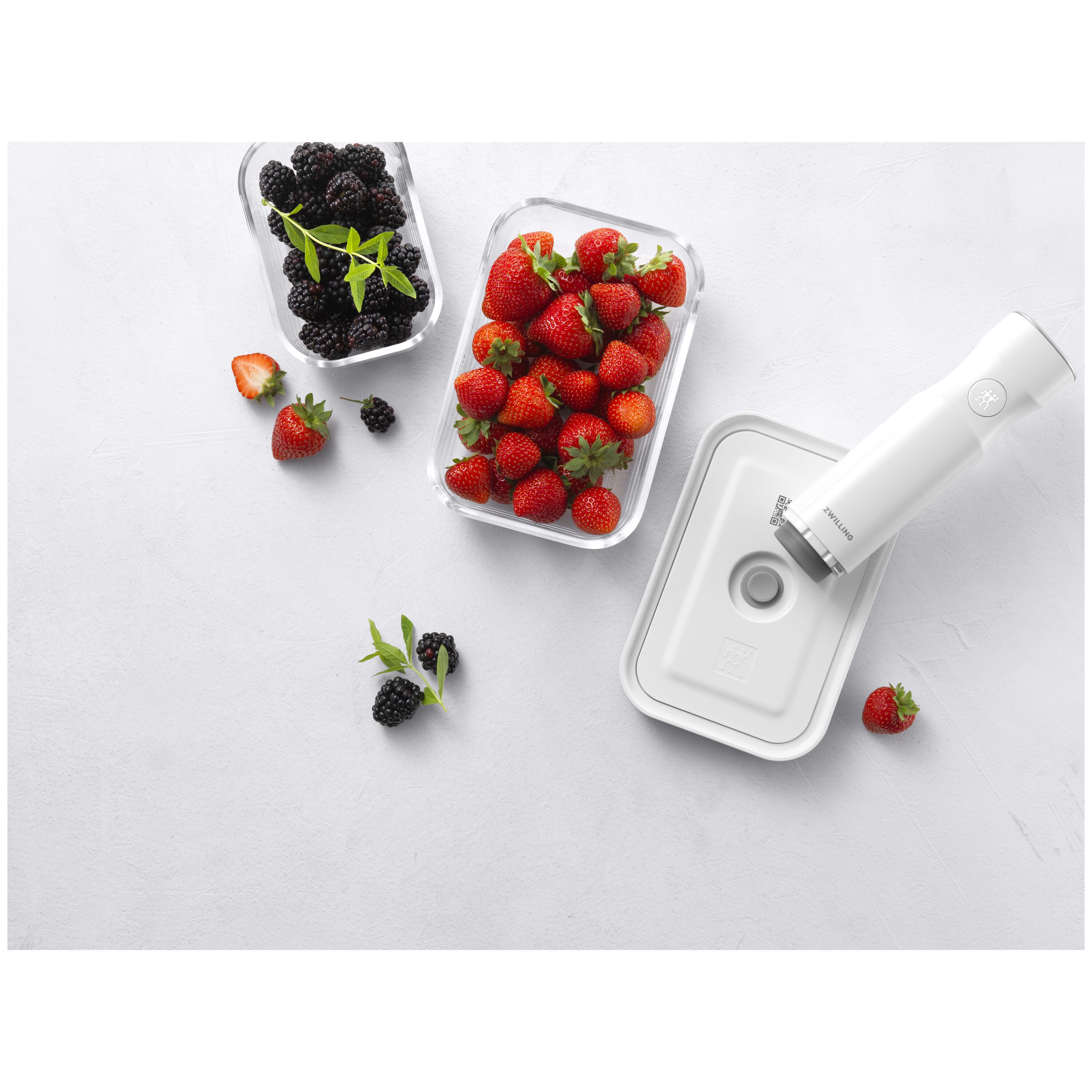 ZWILLING        Fresh & Save                Vakuum Boxset, S/M/L / 3-tlg, Grau