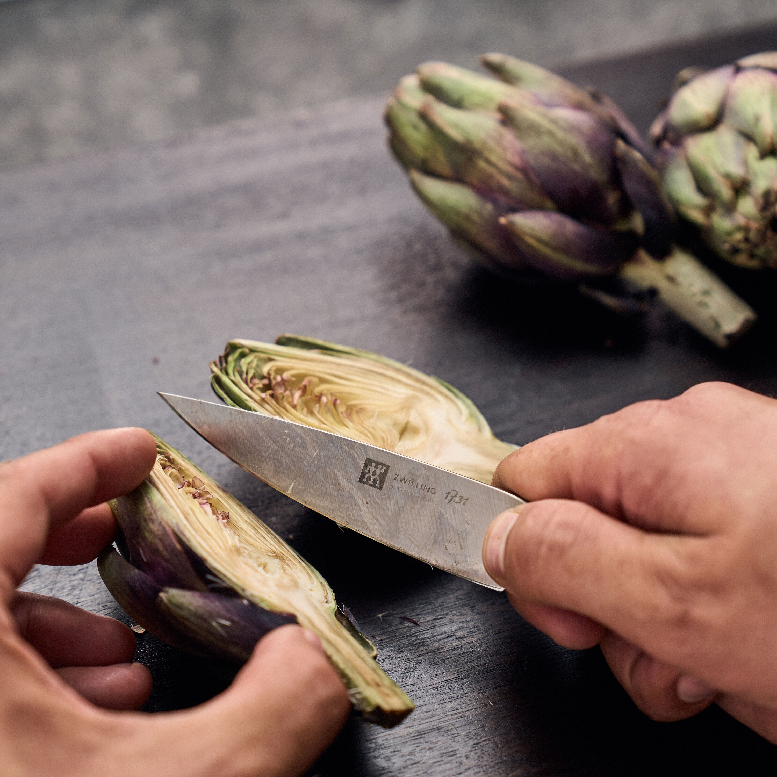 ZWILLING        1731                Spick & Garniermesser 10 cm