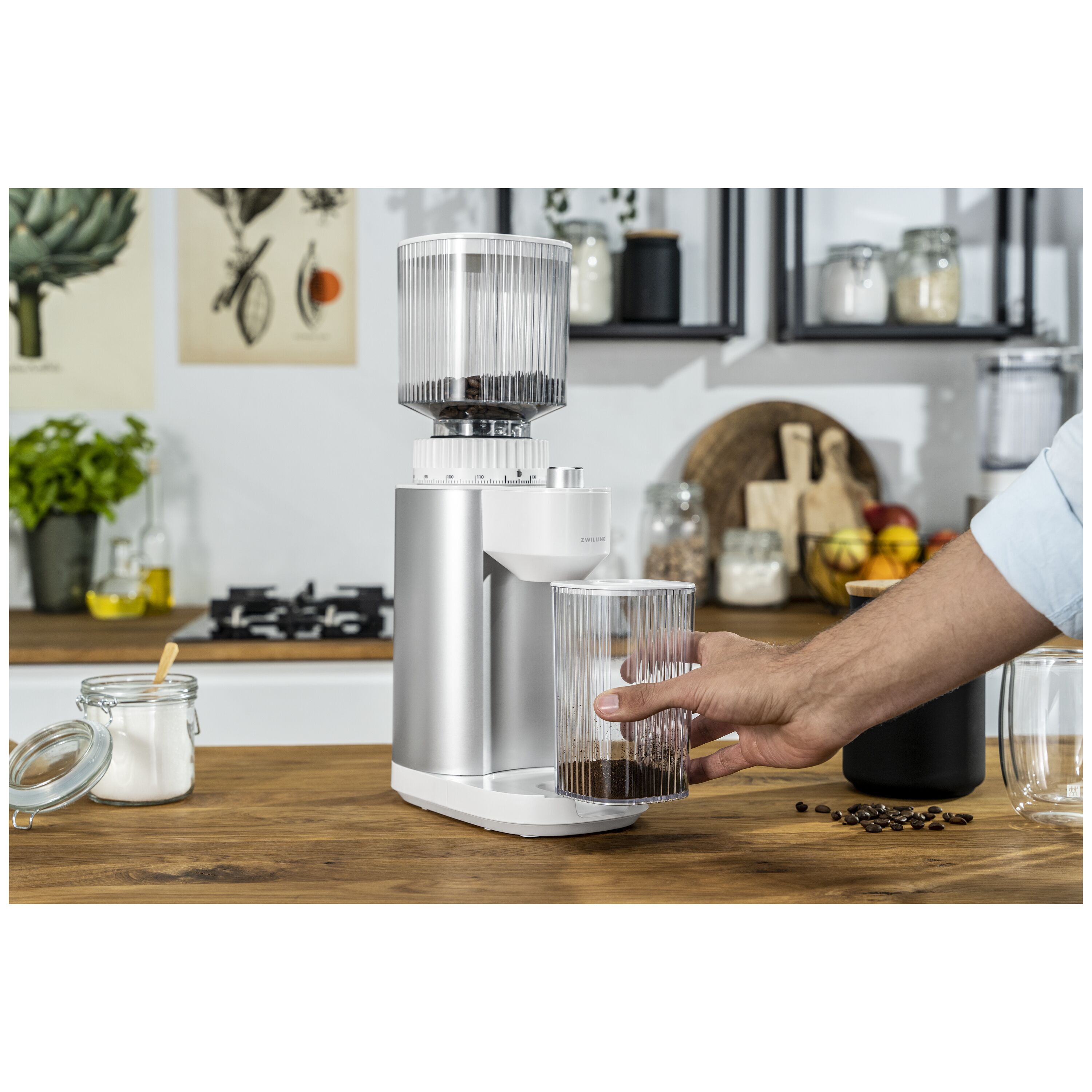 ZWILLING        Enfinigy                Kaffeemühle, Silber-Weiß