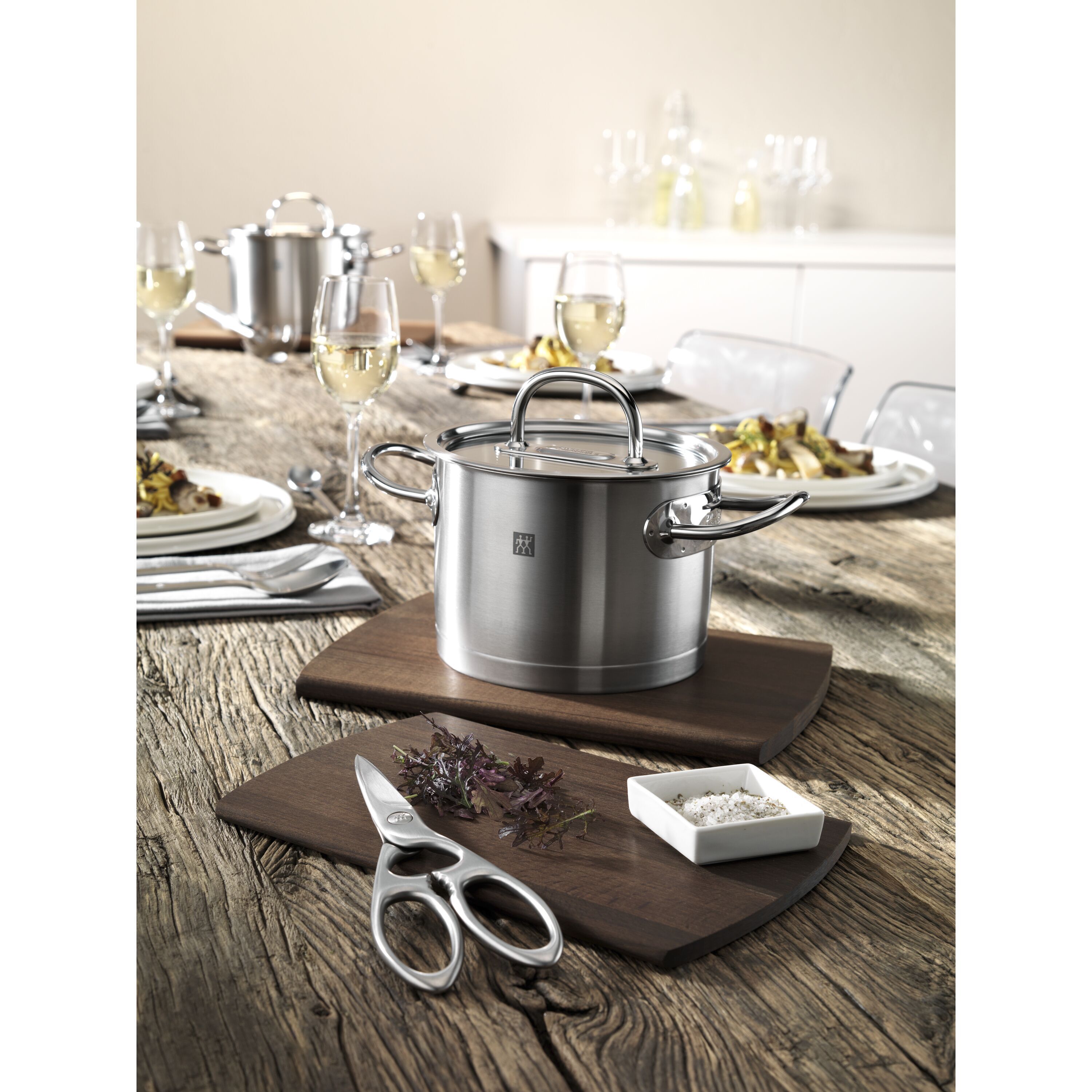 ZWILLING        TWIN Select                Vielzweckschere 20 cm, Edelstahl