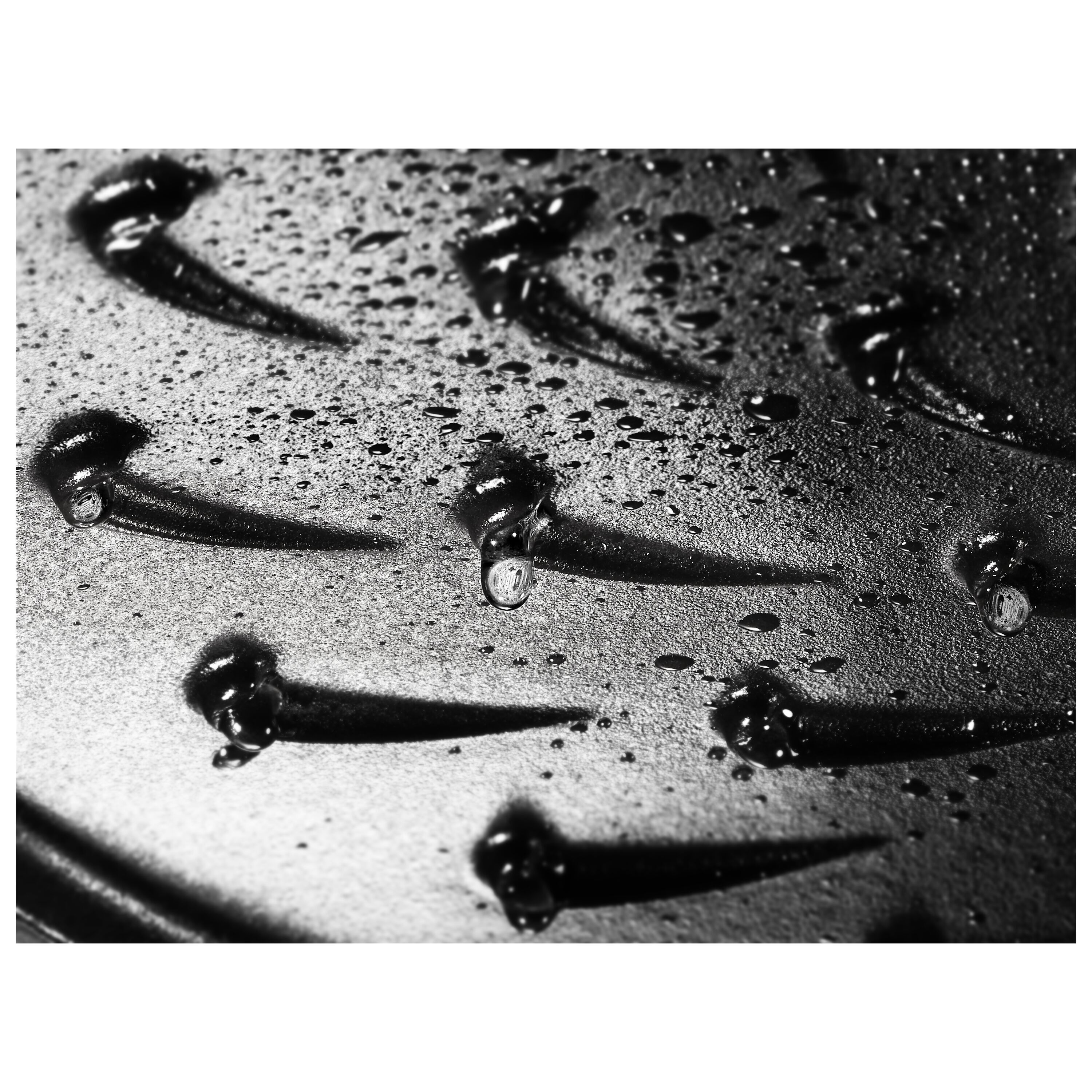 Staub        Braisers                Bräter mit Chistera Drop-Structure 28 cm, rund, Basilikum-Grün, Gusseisen