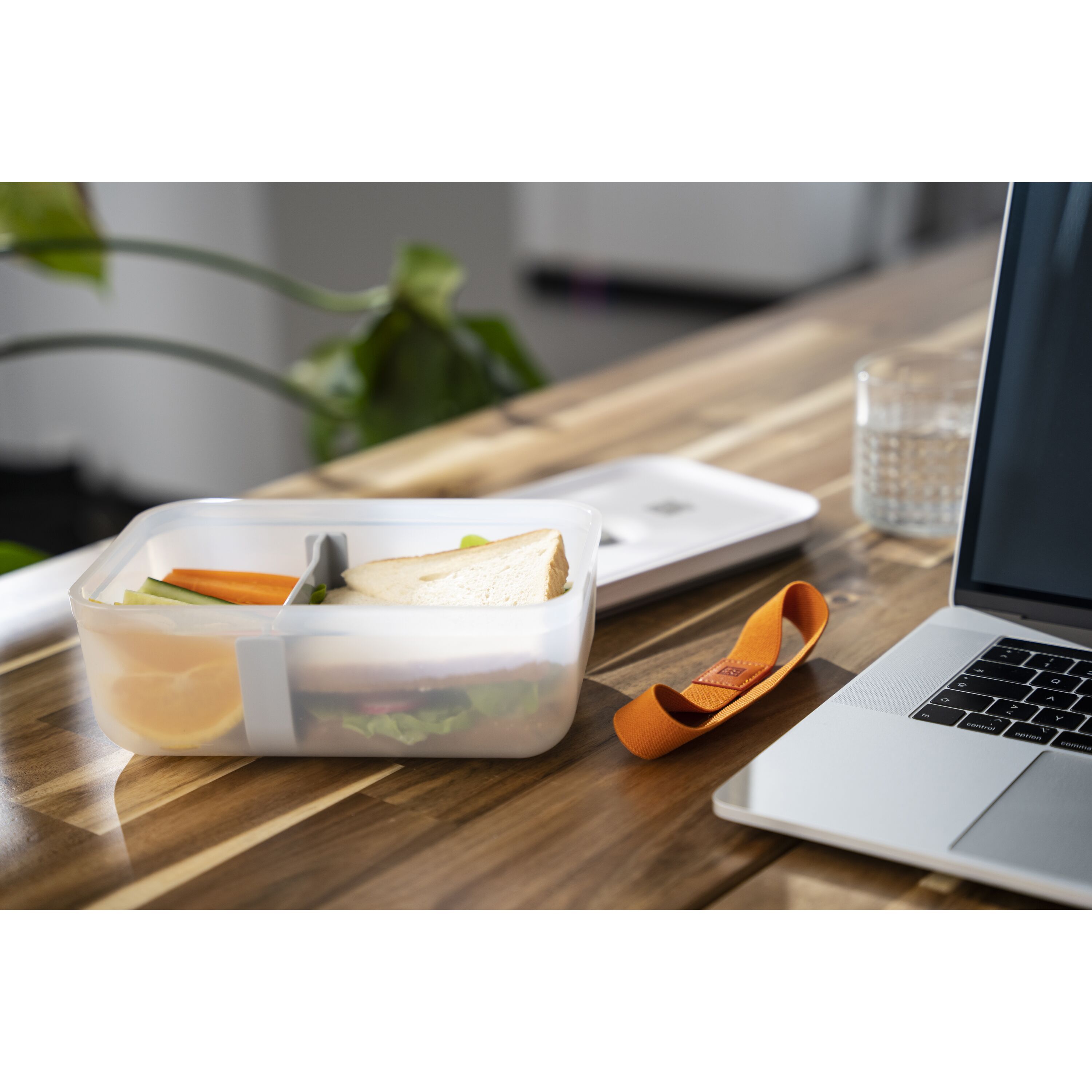 ZWILLING        Fresh & Save                Vakuum Lunchbox L, Kunststoff, Semitransparent-Grau