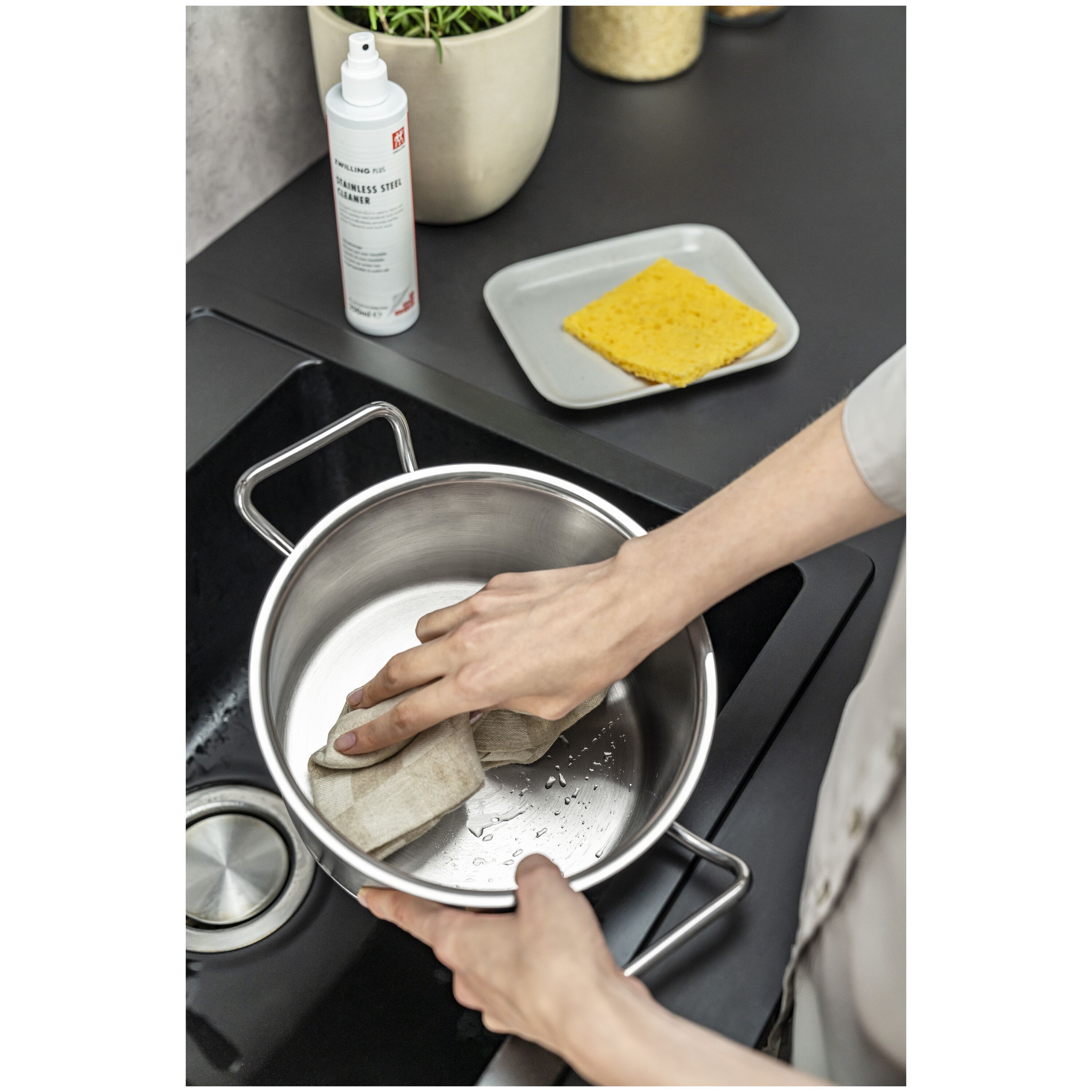 ZWILLING        Plus                Reinigung und Pflege